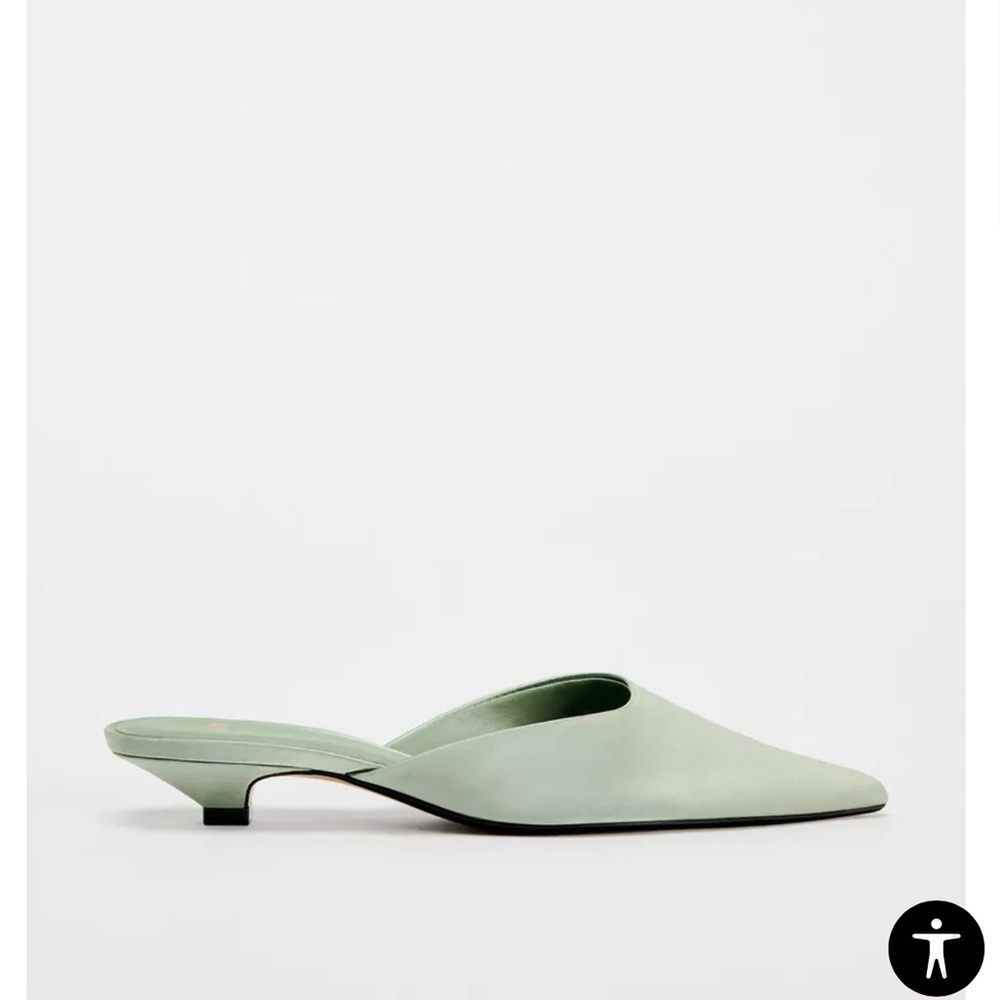 Zara Metallic Silver Pointed Flats